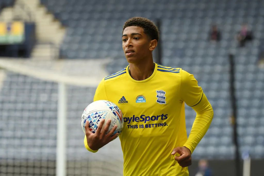 帽子戏法拯救球队！外媒：都柏林博物馆将只鹦鹉以帕洛特命名（戴帽救主！外媒：都柏林博物馆拟以帕洛特命名一只鹦鹉）