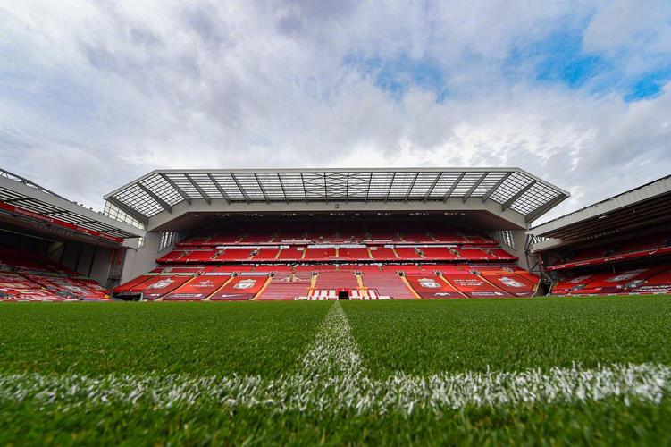 河南外援难逃追罚！格德斯最有发言权：泰山队，也曾输得不服（河南外援恐遭追加处罚！格德斯最有资格发声：泰山也曾输得不服）